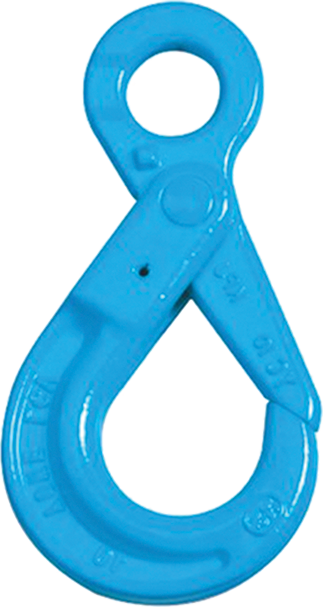 Grade 100 Eye Self Locking Hook